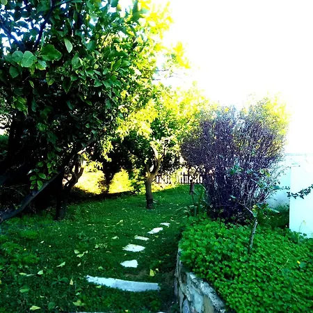 Baina Villa *